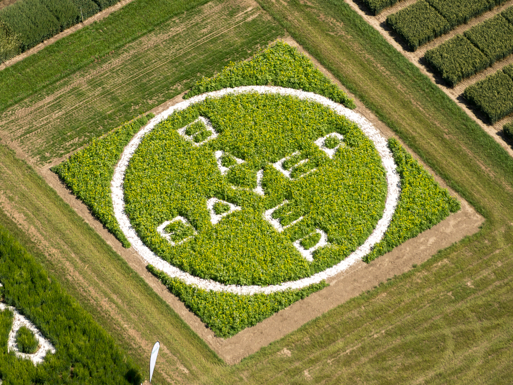 Bayer começará a recompensar agricultores brasileiros com crédito de carbono. (Fonte: Shutterstock)