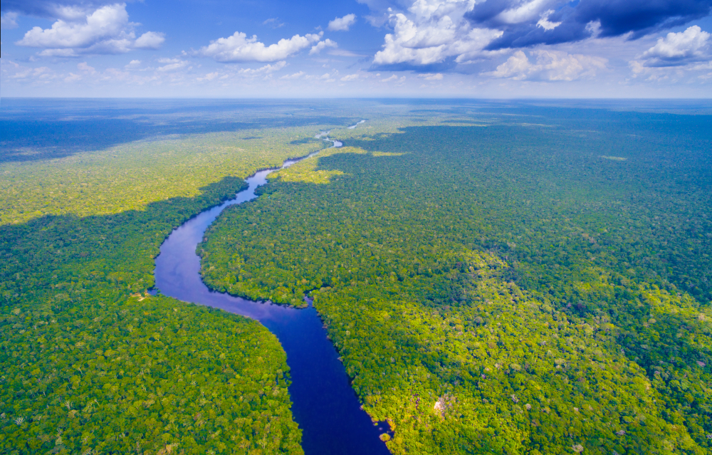 Preservação da floresta Amazônica pode render US$ 10 bilhões ao ano para o Brasil. (Fonte: Shutterstock)