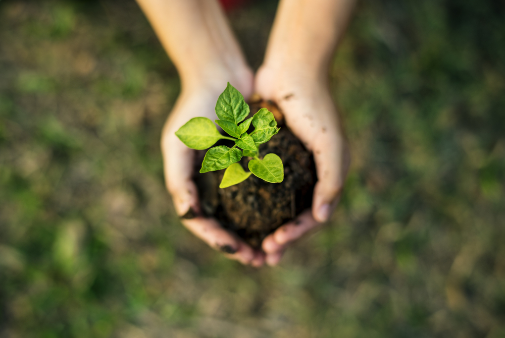 Embalagem com material reciclável faz parte do Plano de Agricultura Sustentável da Syngenta. (Fonte: Shutterstock)