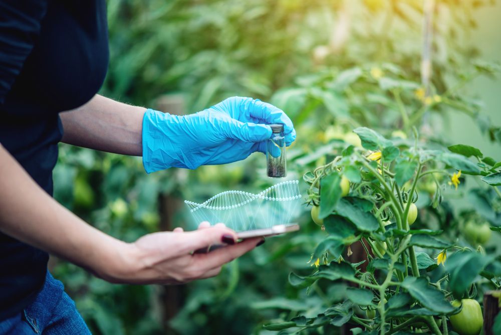 Crispr Como A Edição Genética Impactará A Agricultura Canal Agro