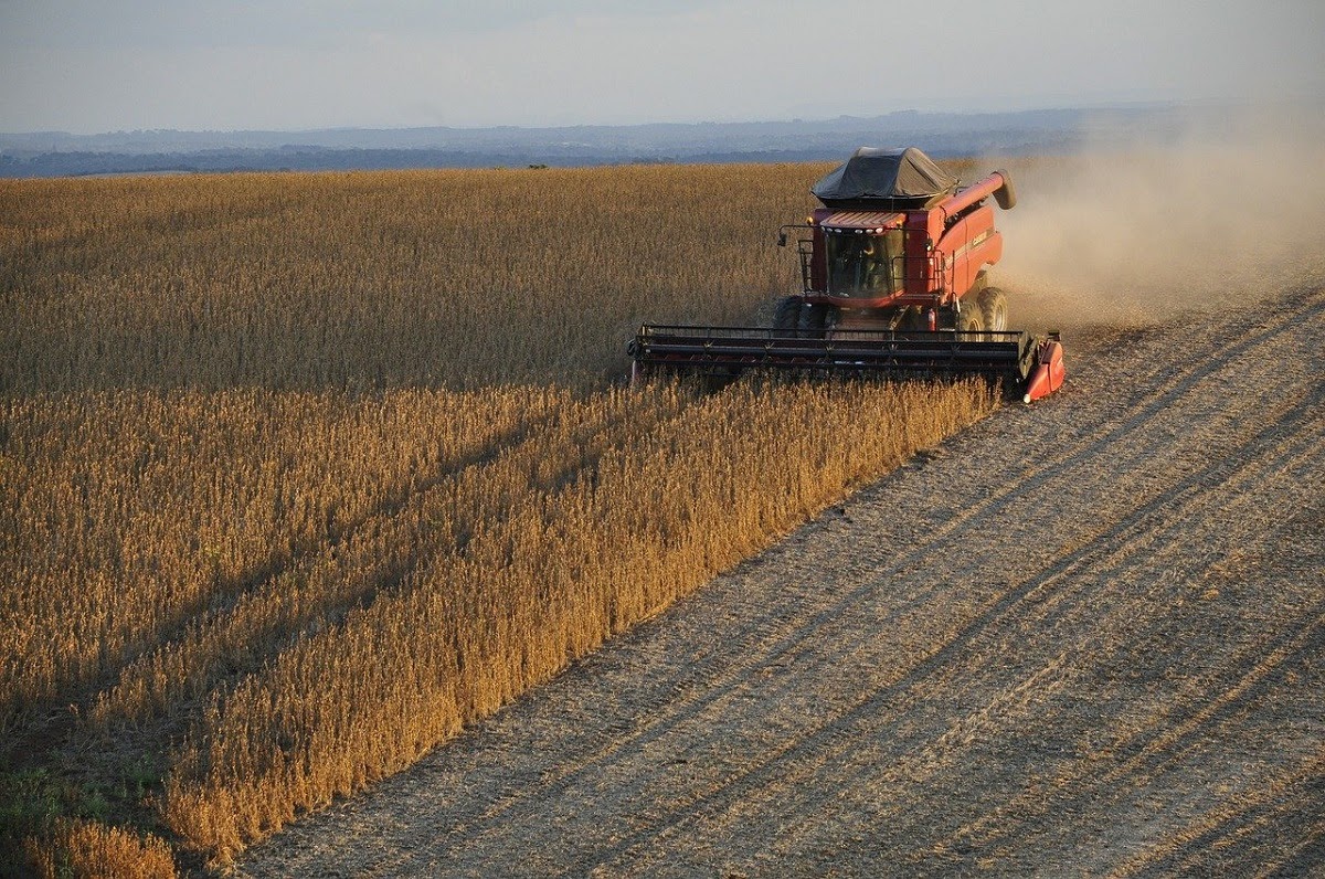 O Que O Risco Brasil E Como Ele Impacta O Agroneg Cio Canal Agro Estad O