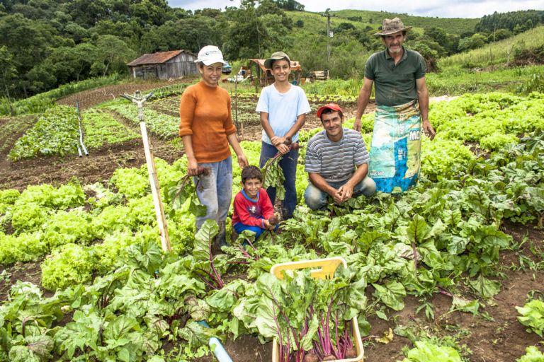 Como a agricultura pode ajudar a reduzir a crescente fome no Brasil