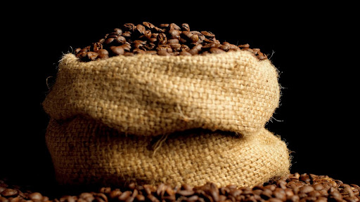 Saca de café deve continuar sendo valorizada até o final do ano. (Fonte: Shutterstock/Ania Volkova/Reprodução)
