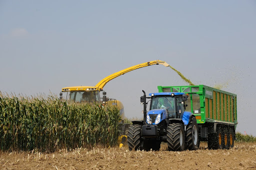 Conab projeta margens maiores para produtores de milho na safra 2021/2022. (Fonte: Shutterstock/PHILIPPE MONTIGNY/Reprodução)