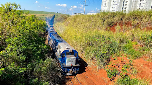As ferrovias brasileiras estão em grande parte desatualizadas, a extensão de malha ferroviárias no País é a mesma desde 1920. (Fonte: Leonardo Juliano/Shutterstock/Reprodução)