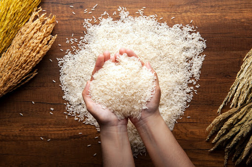 Cotação do arroz recua após patamar recorde registrado em 2020. (Fonte: Shutterstock/zendograph/Reprodução)
