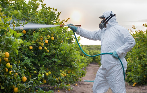 O uso de EPI é imprescindível no manejo e aplicação de agrotóxicos. (Fonte: Shutterstock/David Moreno Hernandez/Reprodução)