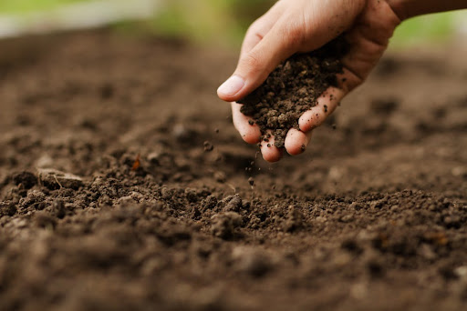 Primavera é um momento importante para análise do solo. (Fonte: Piyaset/Shutterstock/Reprodução)