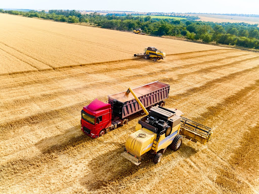 Agropecuária tem custo maior de transporte em relação a outros setores da economia. (Fonte: Shutterstock/Artie Medvedev/Reprodução)