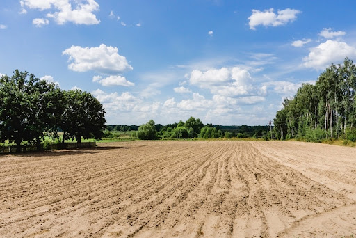 A rotação de culturas ajuda na produtividade de agricultores no cerrado. (Fonte: Pawel Michalowski/Shutterstock)