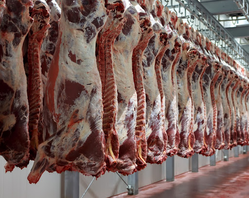 Carne in natura que seria exportada para a China pode ser congelada. (Fonte: FoodAndPhoto/Shutterstock/Reprodução)
