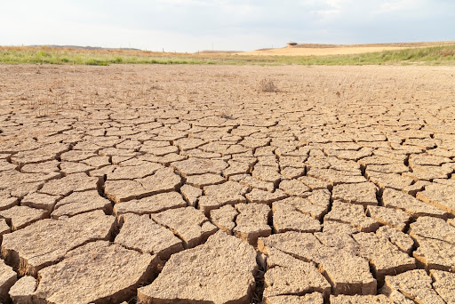 Escassez hídrica se tornou um problema sério para o Brasil nos últimos anos. (Fonte: Shutterstock)