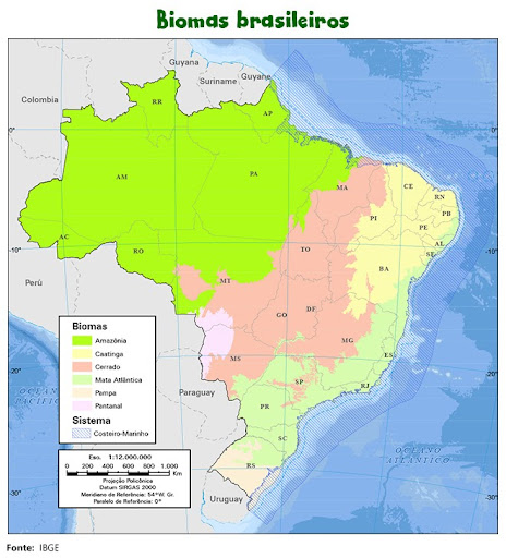 Além dos seis biomas brasileiros, País conta com um sistema costeiro-marinho de grande biodiversidade e relevância econômica. (Fonte: IBGE/Reprodução)