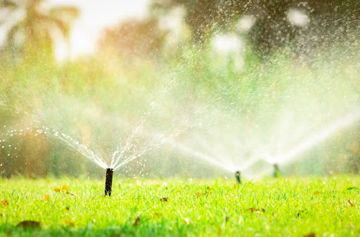 Exemplo de irrigação por aspersão. (Fonte: Shutterstock/Reprodução)