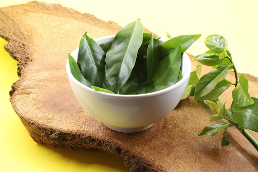 As folhas da ora-pro-nóbis, que lembram a couve-manteiga, são a parte mais usada na culinária. (Fonte: Shutterstock)