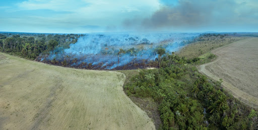 Recorde de queimadas afetaram a distribuição de chuvas em todo o Brasil. (Fonte: Shutterstock/Reprodução)