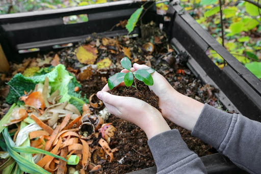 O adubo orgânico é uma forma barata e ecológica de fertilizar a terra. (Fonte: Shutterstock)