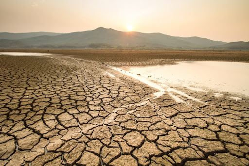 Períodos de estiagem prolongados geram a seca. (Fonte: Shutterstock/Reprodução)