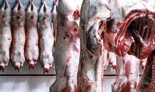 Após embargo chinês, Brasil diversificou destinos de exportação da carne bovina. (Fonte: MIKELANGE/Pixabay/Reprodução)