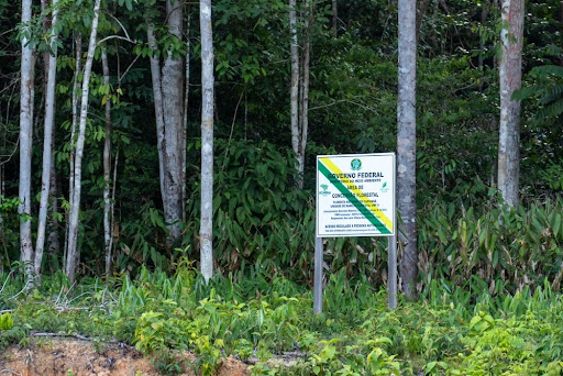 Áreas de manejo florestal sustentável são de interesse público, já que garantem a preservação ambiental em territórios que convivem com o desmatamento. (Fonte: Tarcisio Schnaider/Shutterstock/Reprodução)