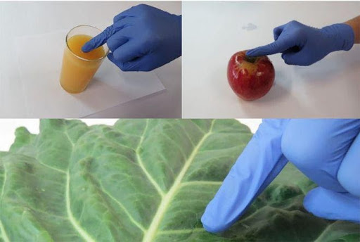 Para identificar resquícios de pesticida, basta tocar na superfície umedecida do alimento e esperar a análise dos dados no celular. (Fonte: Nathalia Gomes/USP/Reprodução)