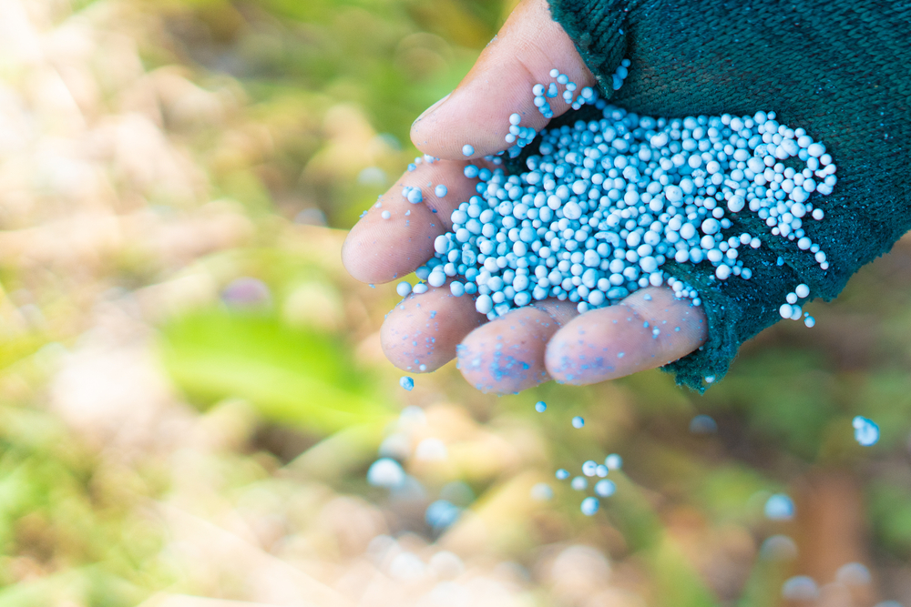 O Brasil importa 80% dos fertilizantes que usa, tendo a Rússia como principal fornecedor. (Fonte: Shutterstock)