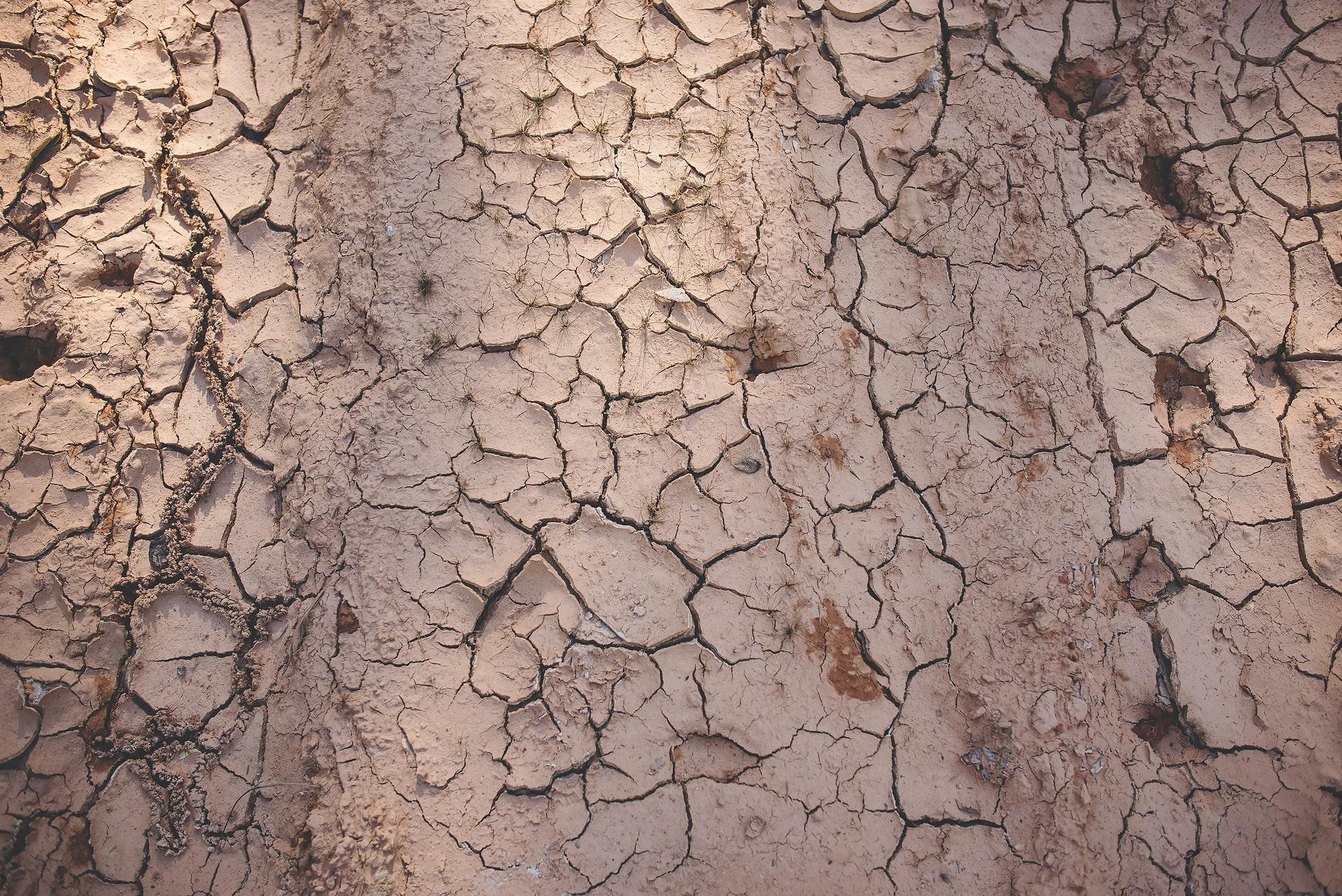 Com elevado teor de silte, solos siltosos são intermediários entre areia e argila e suscetíveis à erosão (Reprodução: Kasey McCoy/Unsplash)