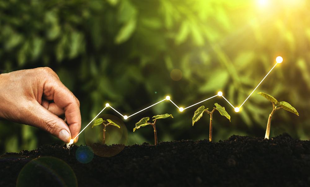 Fiagro amplia possibilidades de financiamento do agronegócio. (Fonte: Shutterstock)