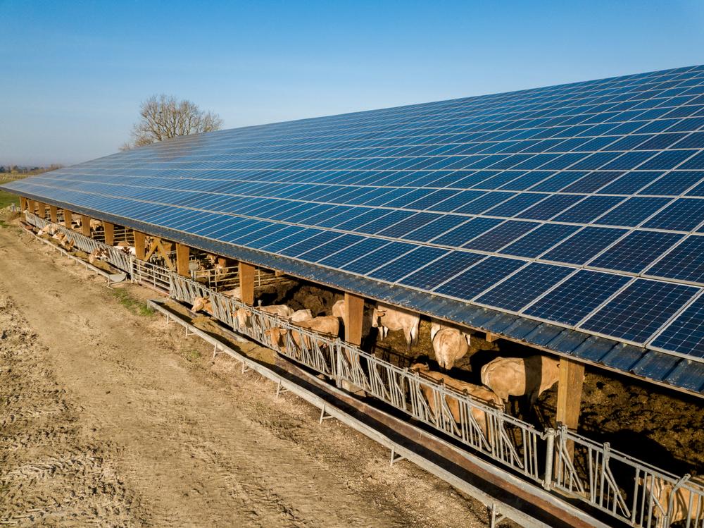 Sistema de energia solar ajuda produtores rurais a reduzir custos e ampliar margens de lucro. (Fonte: Shutterstock/Reprodução)