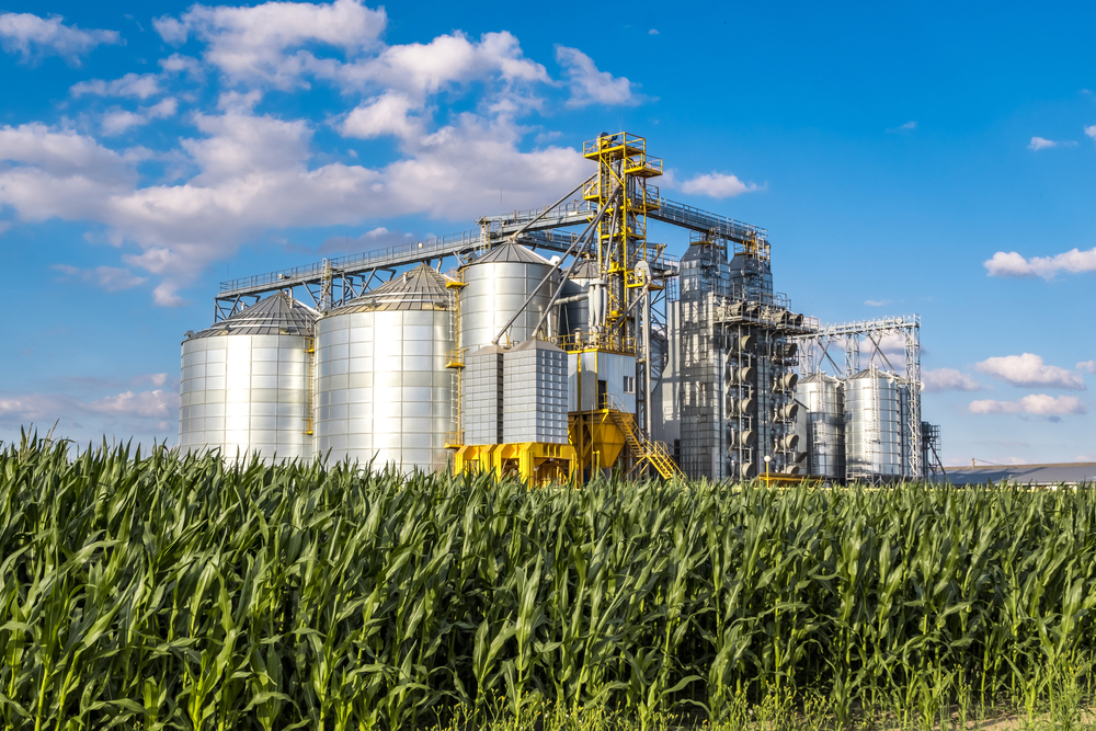 Eventos climáticos derrubaram produção da cana-de-açúcar, afetando tanto o mercado de açúcar quanto de biocombustíveis. (Fonte: Shutterstock/Reprodução)