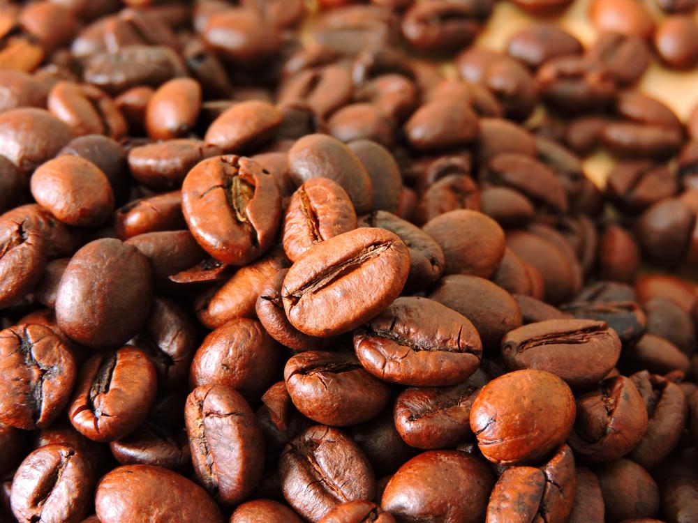 A escolha da espécie de café influencia diretamente no aroma e no sabor do produto final