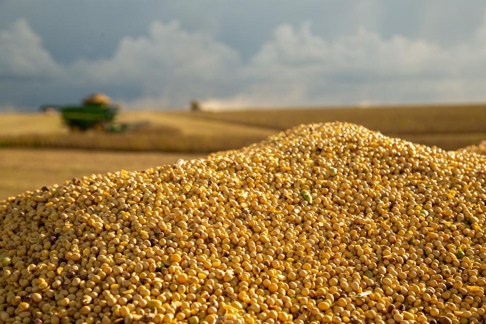 Aumento do preço das commodities puxaram o PIB do agronegócio no último ano. (Fonte: Shutterstock/Reprodução)