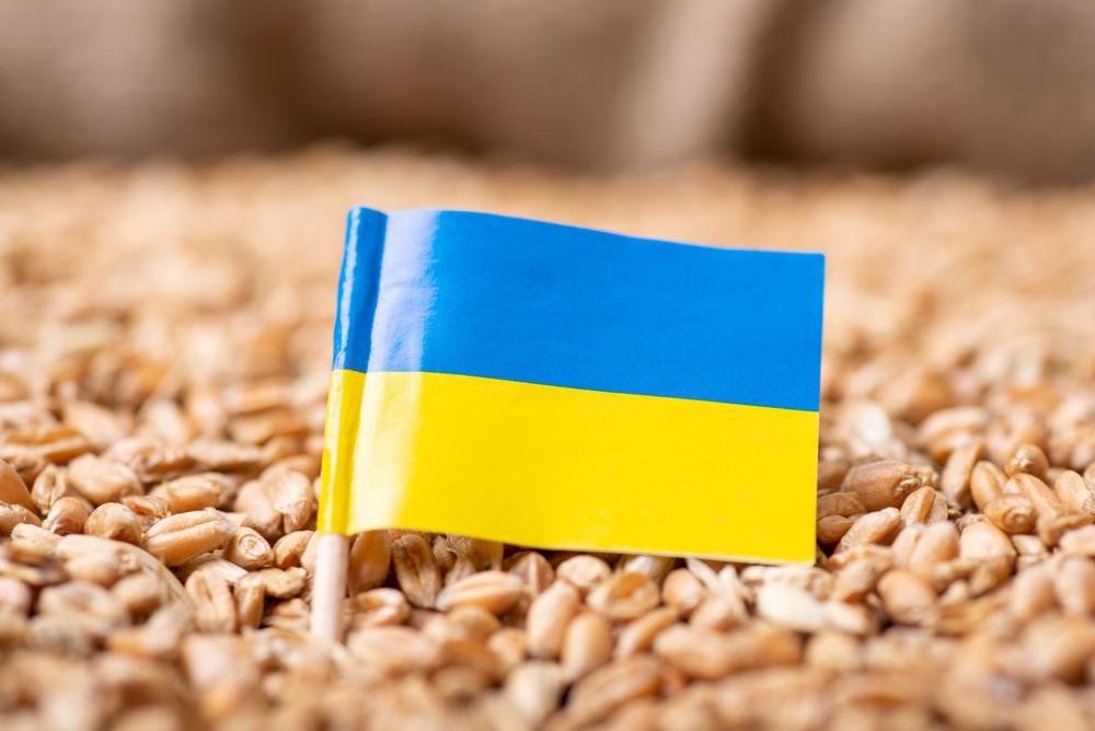 Comercialização de produção ucraniana de trigo foi interrompida pela guerra. (Fonte: Shutterstock/Reprodução)