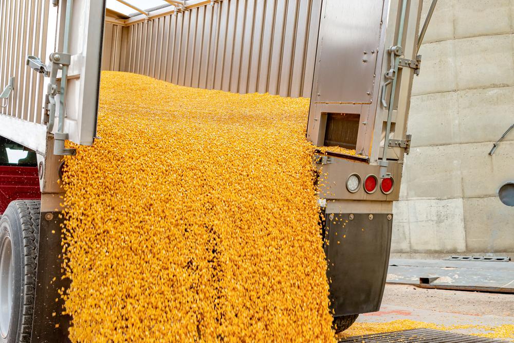 Produtos como milho, soja, café, carnes, petróleo e minérios puxaram as exportações brasileiras do agronegócio. (Fonte: Shutterstock/Reprodução)