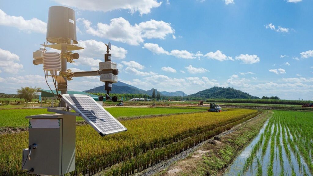 imagem de um painel solar em uma plantação