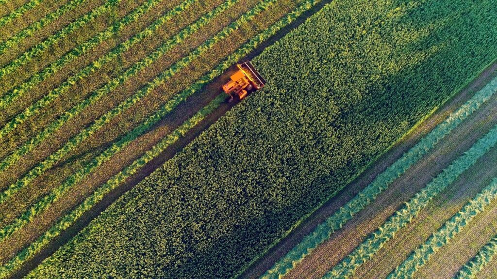 Trator operando em campo de plantação