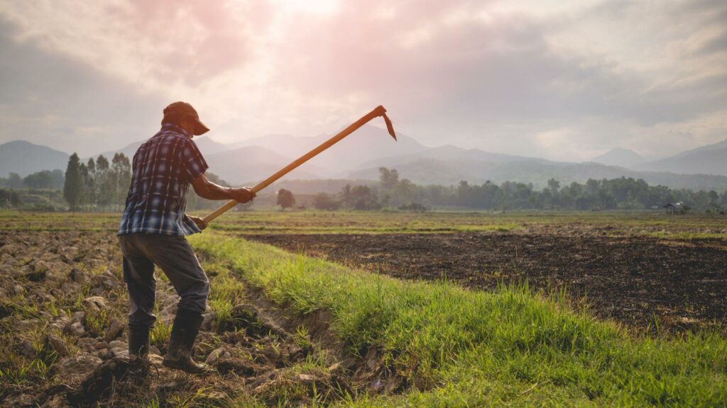 Homem com enxada capinando um terreno