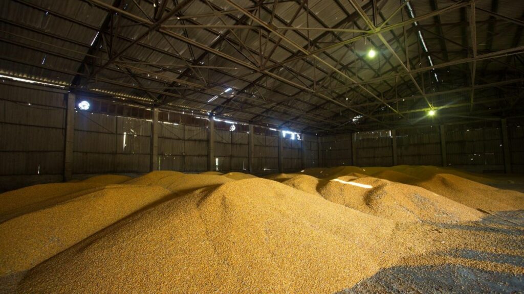 Galpão com vários montes de grãos/commodities