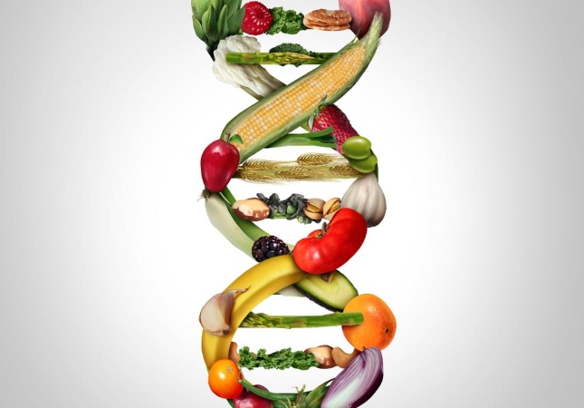 Modelo de molécula de DNA formada por frutas e vegetais