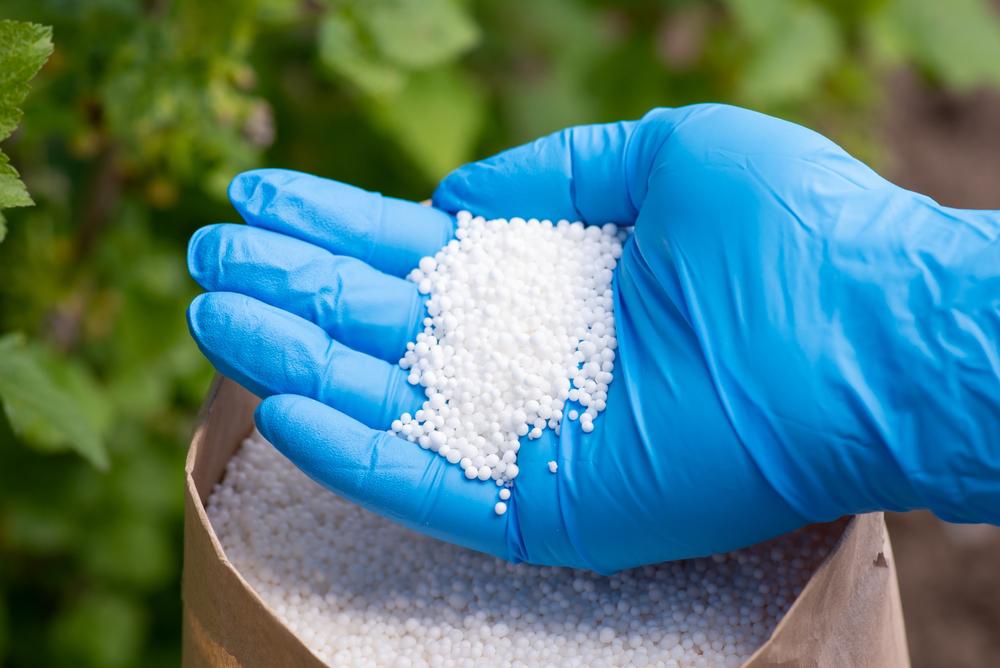 Saco de fertilizantes do tipo bolinhas brancas ao fundo, e mão com luva azul segurando um punhado do produto
