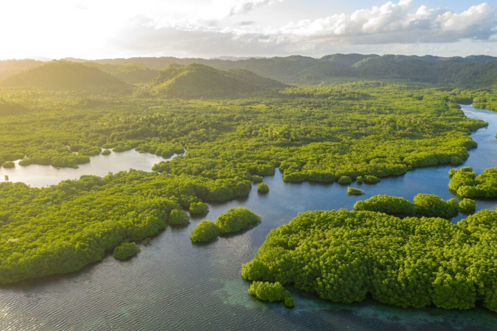 Rio cortando a floresta e por do sol