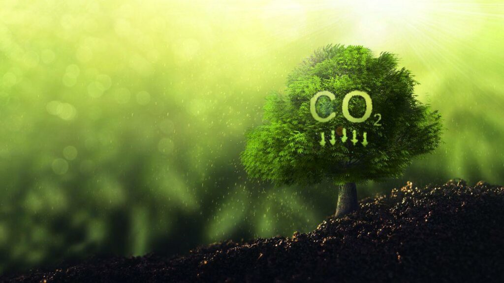 Árvore com ilustração CO2 e setas apontando para baixo