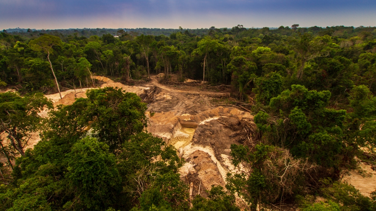 Illegal mining causes deforestation and river pollution in the Amazon rainforest near Menkragnoti Indigenous Land. - Pará, Brazil