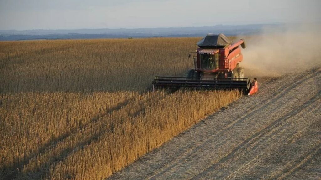 Máquina agrícola passando por um campo de plantação de trigo