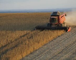 Máquina agrícola passando por um campo de plantação de trigo