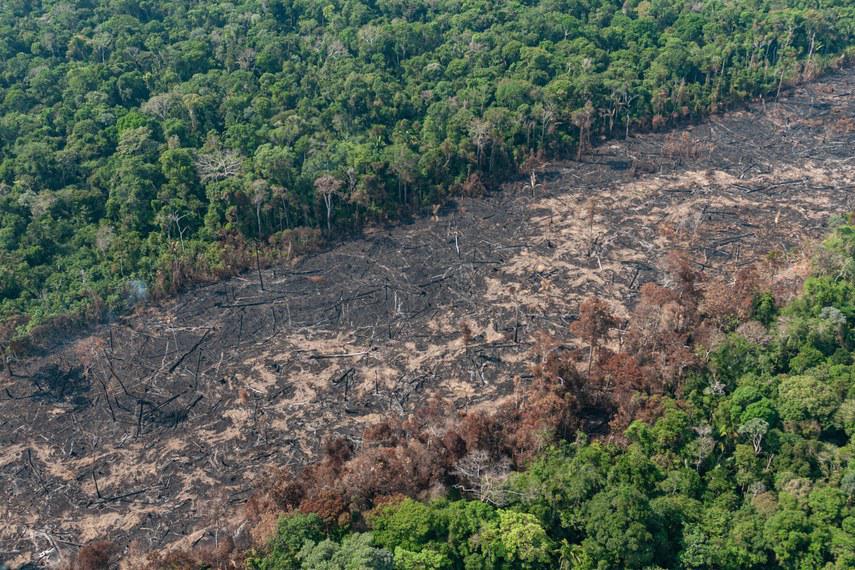 Foto aérea de uma parte da floresta amazônica onde houve desmatamento, com árvores derrubadas e solo exposto