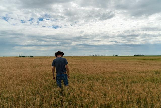 Homem branco de cabeça baixa e chapéu, vestindo uma camiseta cinza escuro e calça jeans azul, no meio de um campo com plantas amareladas