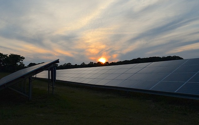 Placas de energia solar instaladas no campo