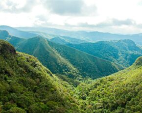 Montanhas da Mata Atlância mostrando sua biodiversidade em diversos tons de verde