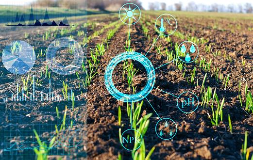 Outras tecnologias de inteligência artificial já são usadas no agronegócio para automatizar máquinas agrícolas e combater pragas. (Fonte: GettyImages)